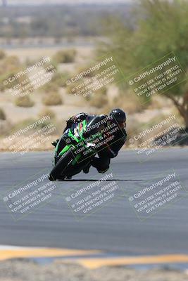 media/May-14-2023-SoCal Trackdays (Sun) [[024eb53b40]]/Turn 5 Tree of Life (1125am)/